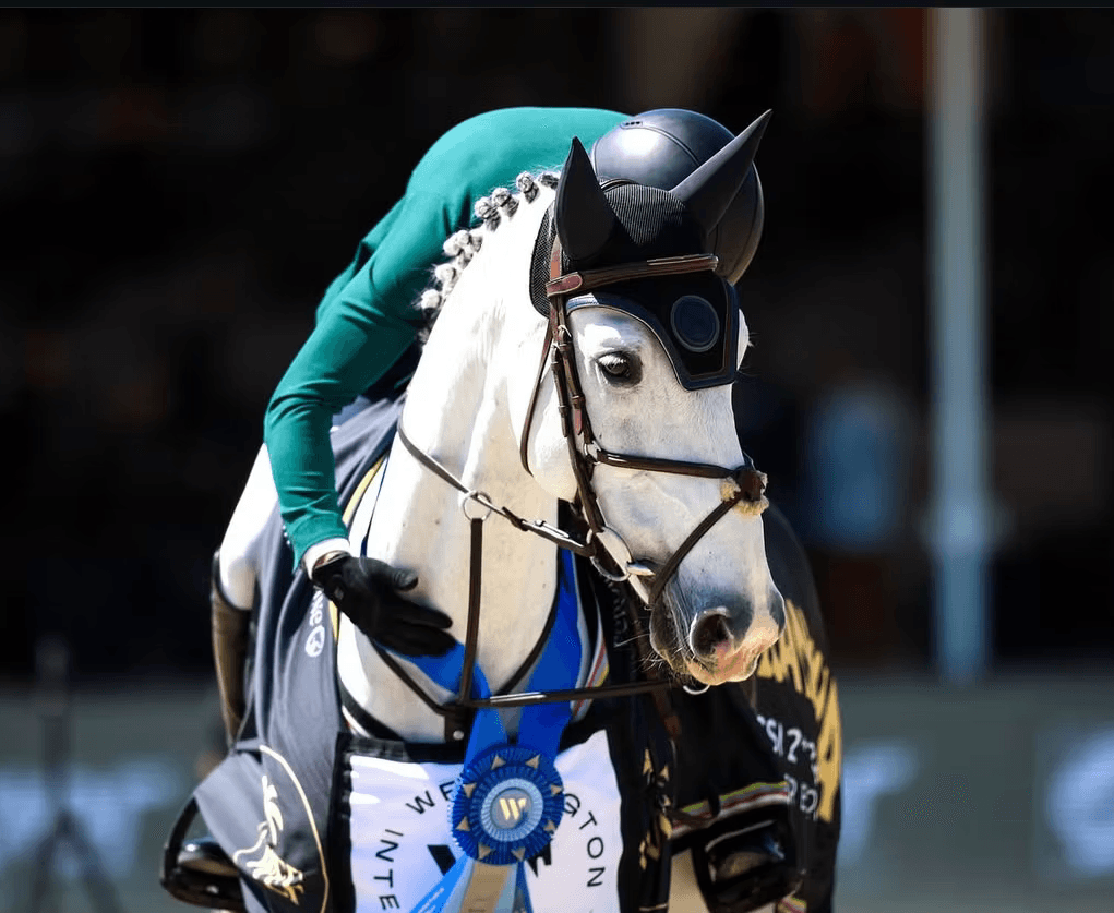 Halcyon Show Stables